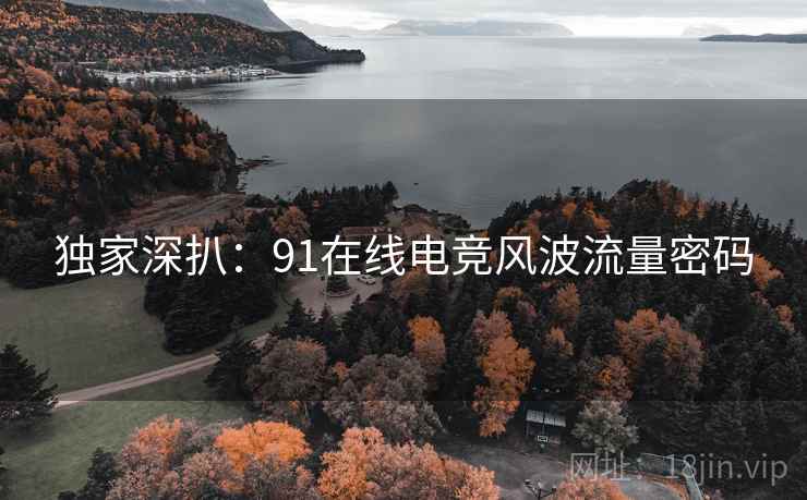 独家深扒：91在线电竞风波流量密码