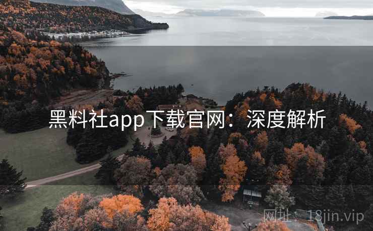 黑料社app下载官网：深度解析