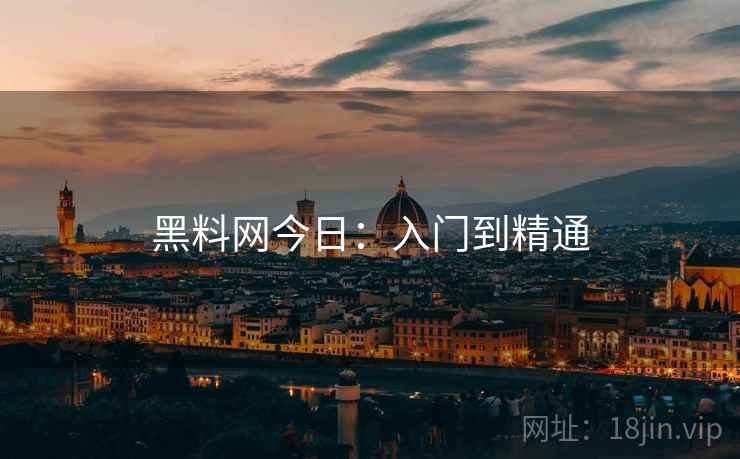 黑料网今日:入门到精通