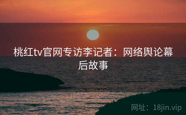 桃红tv官网专访李记者:网络舆论幕后故事
