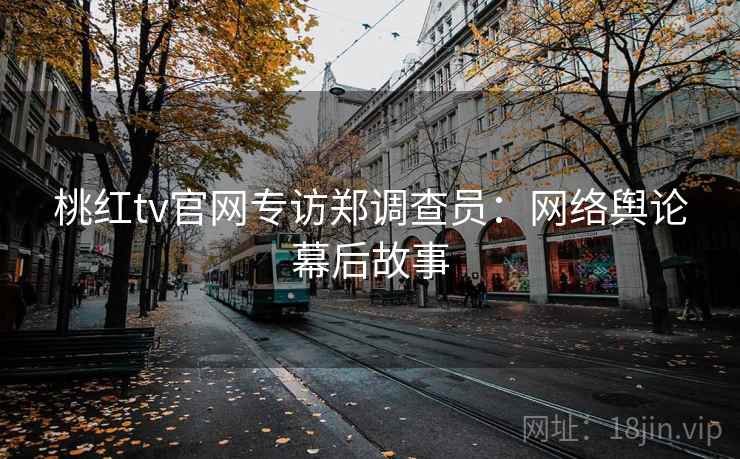 桃红tv官网专访郑调查员:网络舆论幕后故事